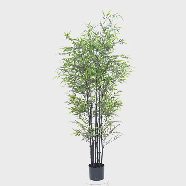 Premium Dense Artificial Black Bamboo 150cm - video 2