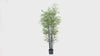 Artificial Bamboo with Black Trunk for Sale in Australia