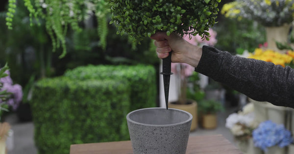 Artificial Planting Topiary with Ground Spike – UV Protected 56cm — video thumbnail