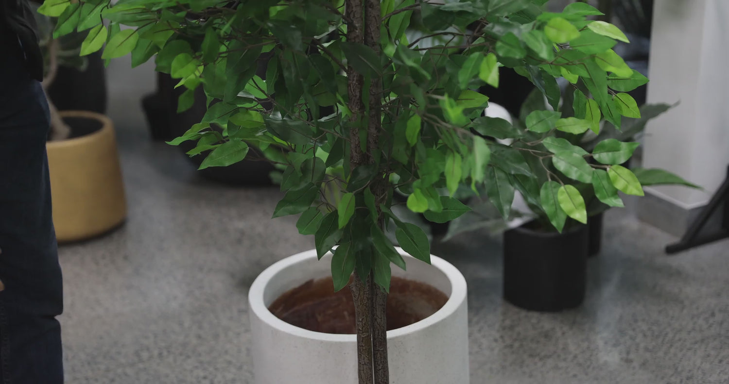 Mixed Green Bushy Artificial Ficus Tree 180cm