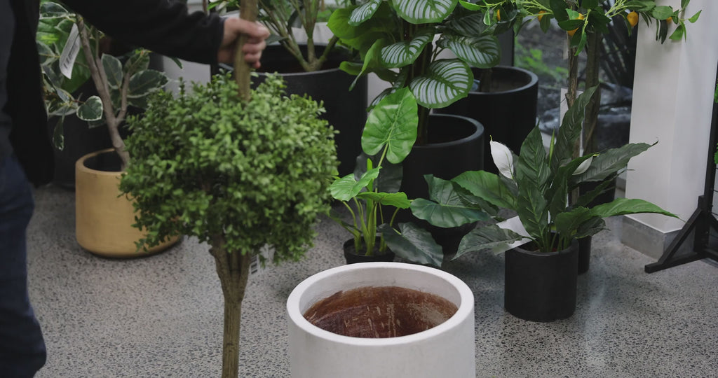 Artificial Topiary Tree (2 Ball Faux Topiary Shrub) 150cm High UV Resistant with 2 balls