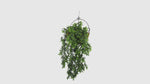 Hanging Mossy Cedar Vine measuring 22cm x 76cm, featuring realistic cedar-inspired foliage with a soft mossy texture and cascading design for a natural woodland look. UV-resistant and fire-rated for safe, long-lasting use in indoor and outdoor décor, commercial installations, green walls, and maintenance-free landscaping displays.