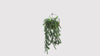 Realistic Hanging Willow Leaf Vine with lush trailing greenery, UV resistant and fire rated for outdoor landscaping, hospitality venues, retail displays, office spaces, home décor, and vertical garden installations