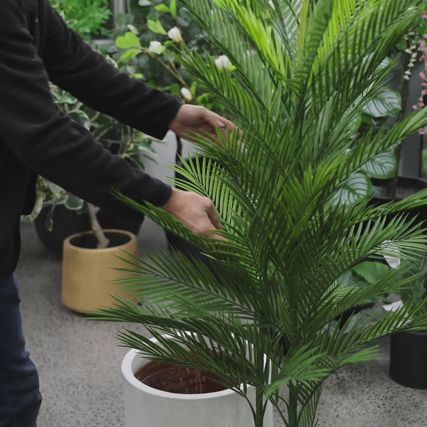 Real Touch Artificial Phoenix Palm Tree UV Resistant 180cm - video 11