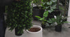 Luxury Extra Dense Artificial Cypress Pine Tree UV Resistant Greenery 120cm