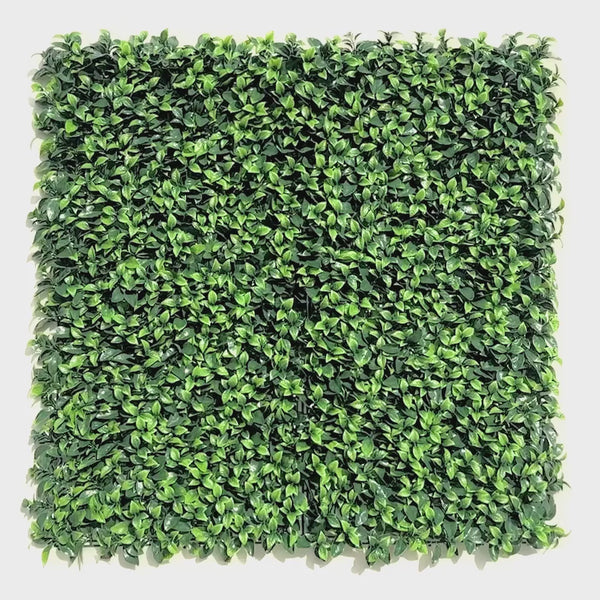 Jasmine Artificial Hedge Panel 100cm x 100cm - UV Certified - video 20