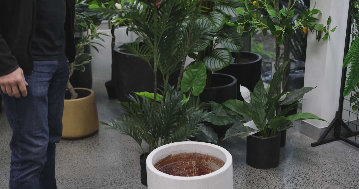 Potted Artificial Palm Multi-trunk Fan Palm 180cm