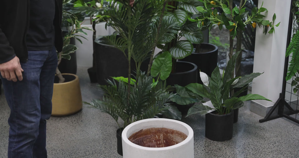 Potted Artificial Palm Multi-trunk Fan Palm 180cm