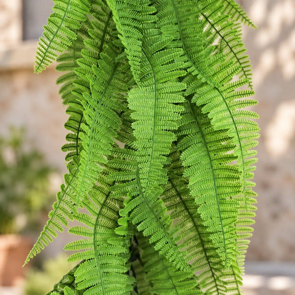 PureLush Bright Green Fern Bush – Outdoor-Friendly 55cm — gallery image 9
