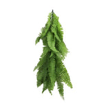 Artificial hanging fern plant on a white background