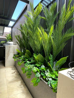 Indoor garden with various plants in a modern kitchen setting