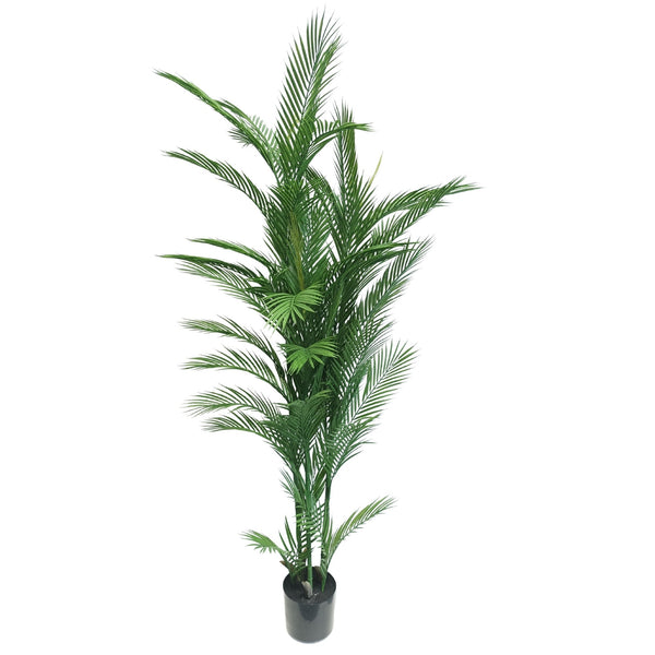 Real Touch Artificial Phoenix Palm Tree UV Resistant 180cm — gallery image 7