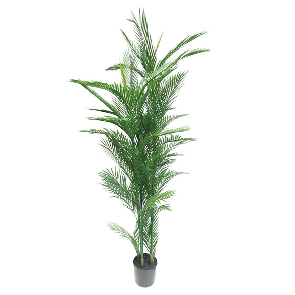 Real Touch Artificial Phoenix Palm Tree UV Resistant 180cm — gallery image 8