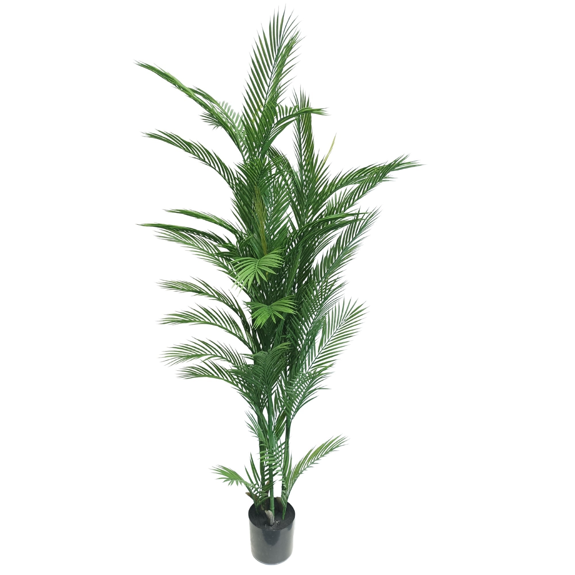 Real Touch Artificial Phoenix Palm Tree UV Resistant 180cm