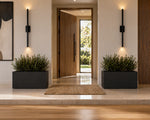 Modern interior with black planters, wooden door, and wall lights.