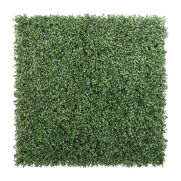 Sample - Boxwood Artificial Hedge Panel (25cm x 25cm) - image 5
