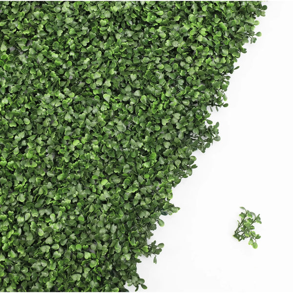 English Boxwood Artificial Hedge Panel 1m x 1m - UV Certified