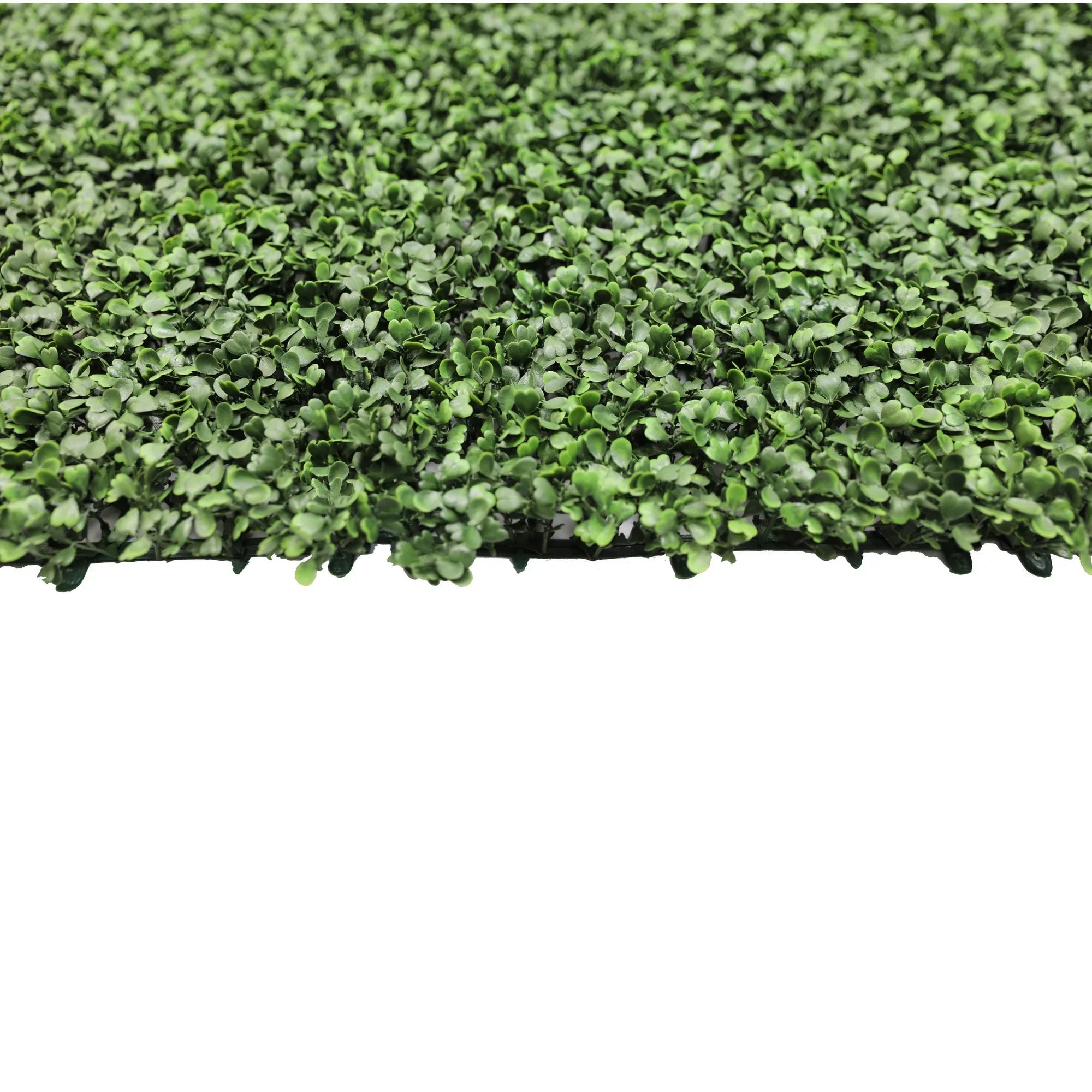 Sample - Boxwood Artificial Hedge Panel (25cm x 25cm)
