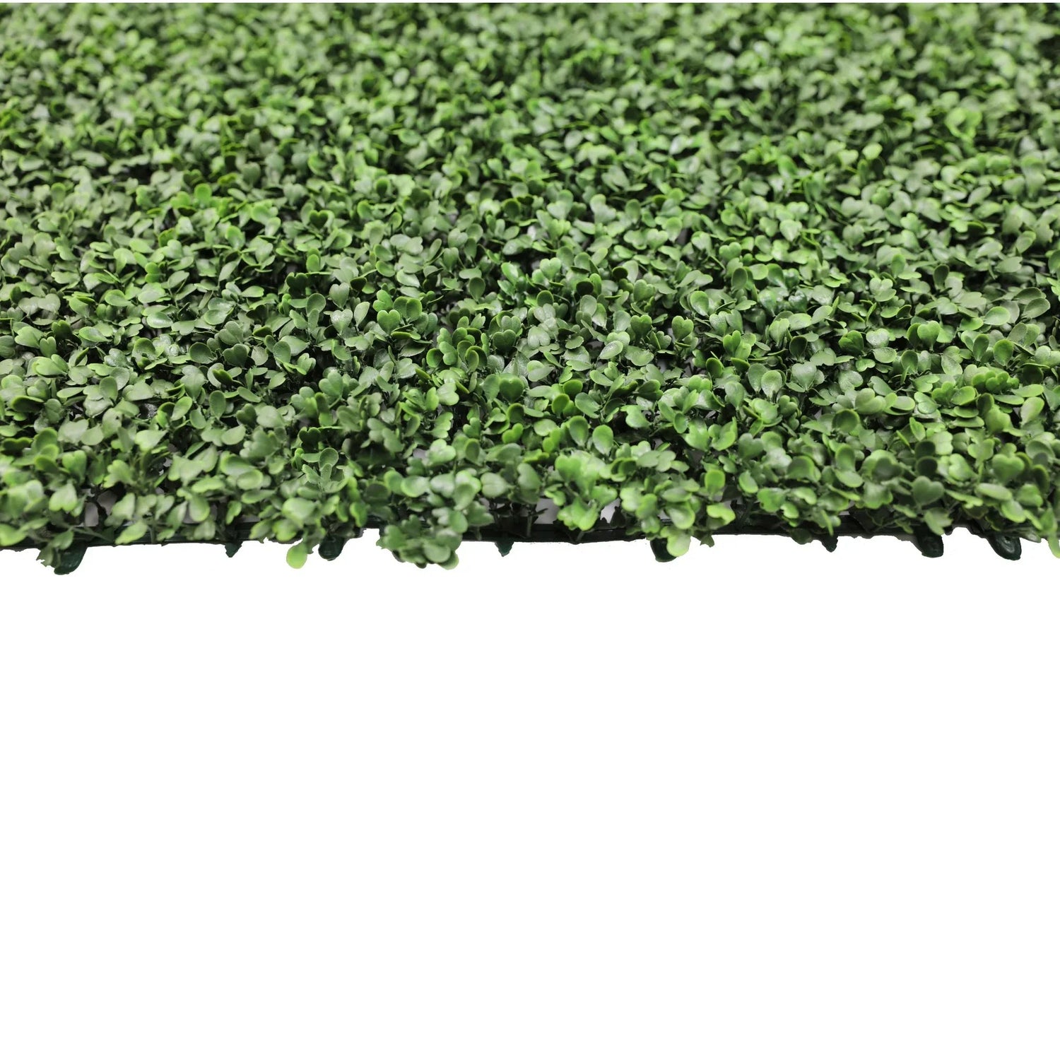Sample - Boxwood Artificial Hedge Panel (25cm x 25cm) - Designer Vertical Gardens artificial garden wall plants artificial green wall australia