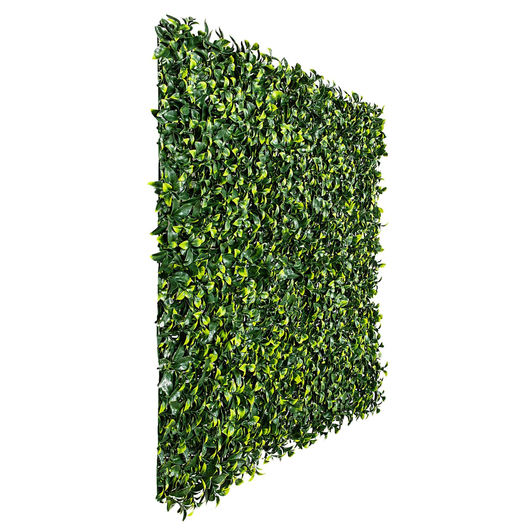 Artificial green hedge panel on a white background