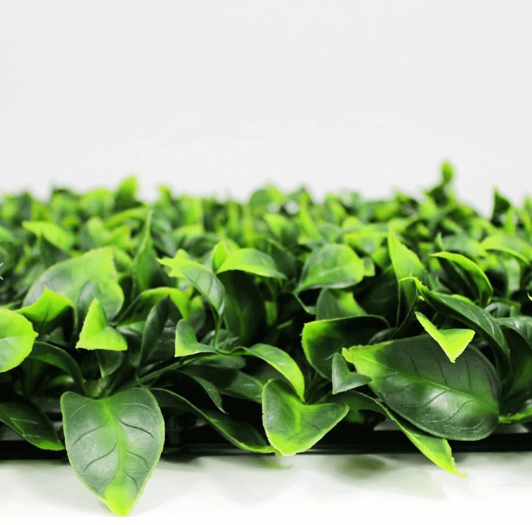 Artificial green leafy hedge on a white background