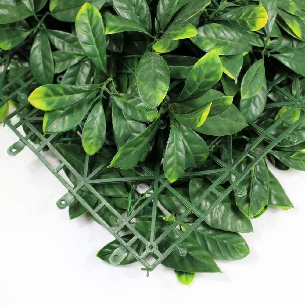 Sample - Lemon Leaf Artificial Hedge Panel (25cm x 25cm) - Designer Vertical Gardens artificial garden wall plants artificial green wall australia
