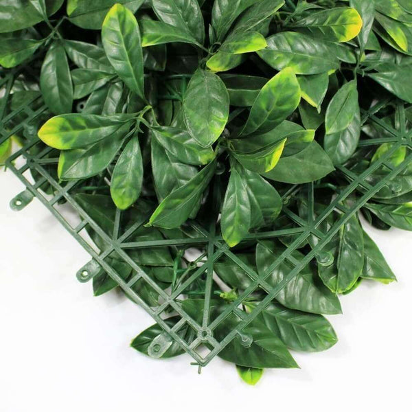Sample - Lemon Leaf Artificial Hedge Panel (25cm x 25cm) — gallery image 4