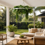 Outdoor patio with furniture, plants, and a hanging fern