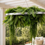 Hanging fern plant in a decorative pot with a blurred outdoor background