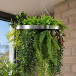 Hanging basket with green ferns and plants against a brick wall.