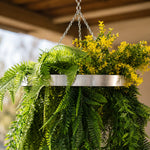 Hanging basket with green ferns and yellow flowers on a wooden deck.