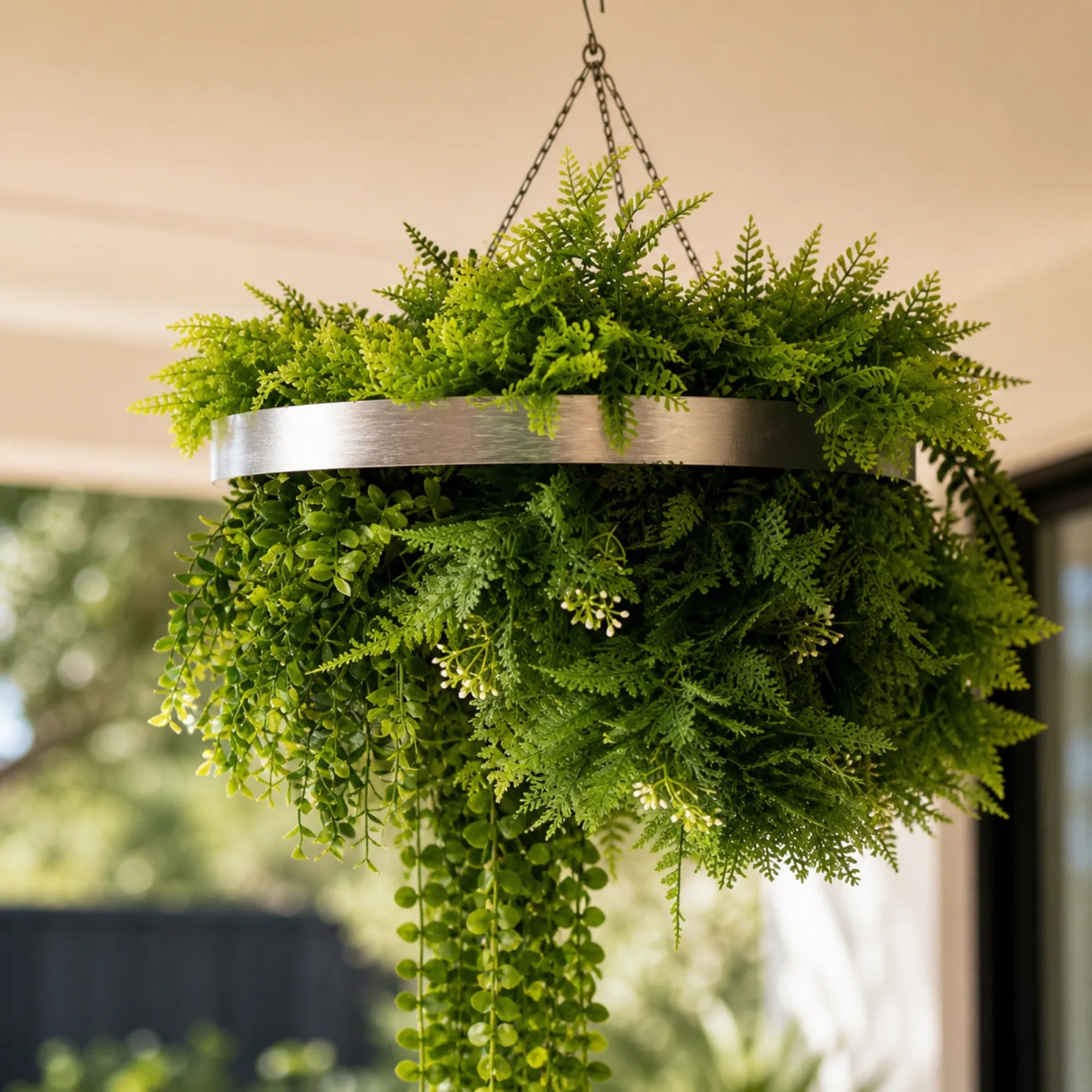 Hanging green fern plant in a metal basket against a blurred outdoor background