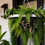 Hanging fern plant in a metal basket with a blurred background