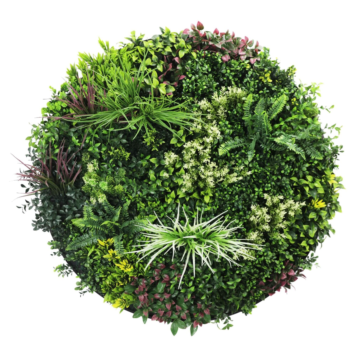 Round topiary ball with a variety of green plants on a white background