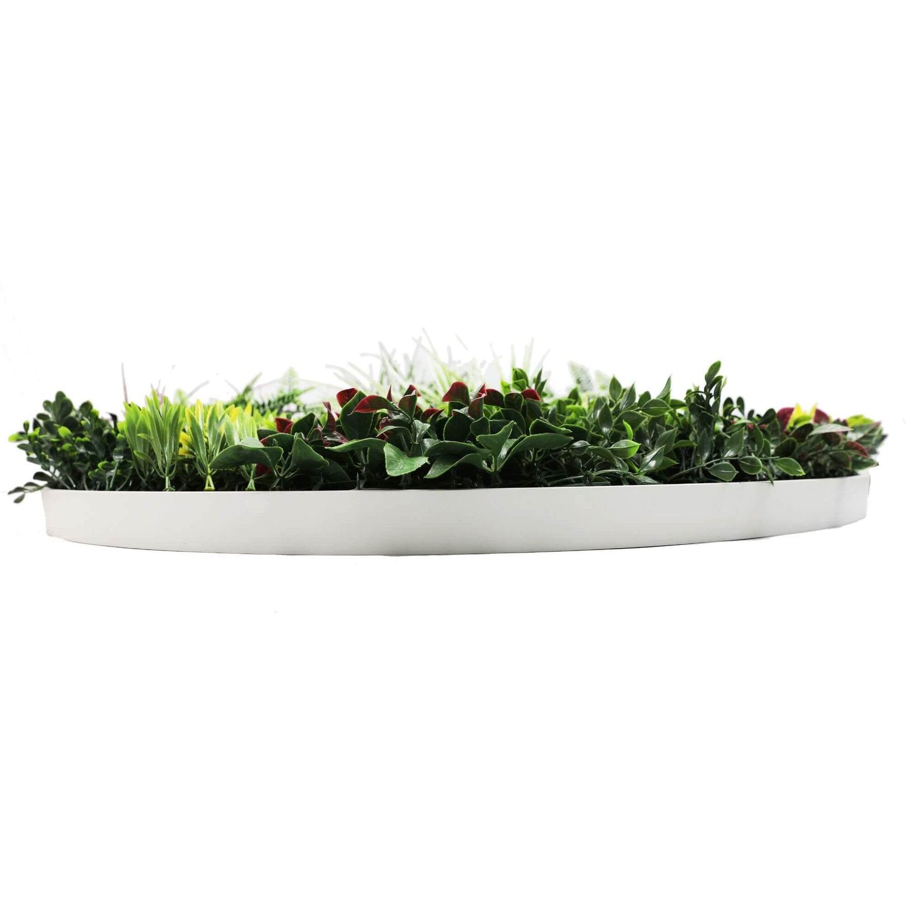 White rectangular planter with green plants on a white background