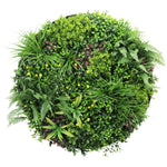 Round arrangement of various green plants on a white background