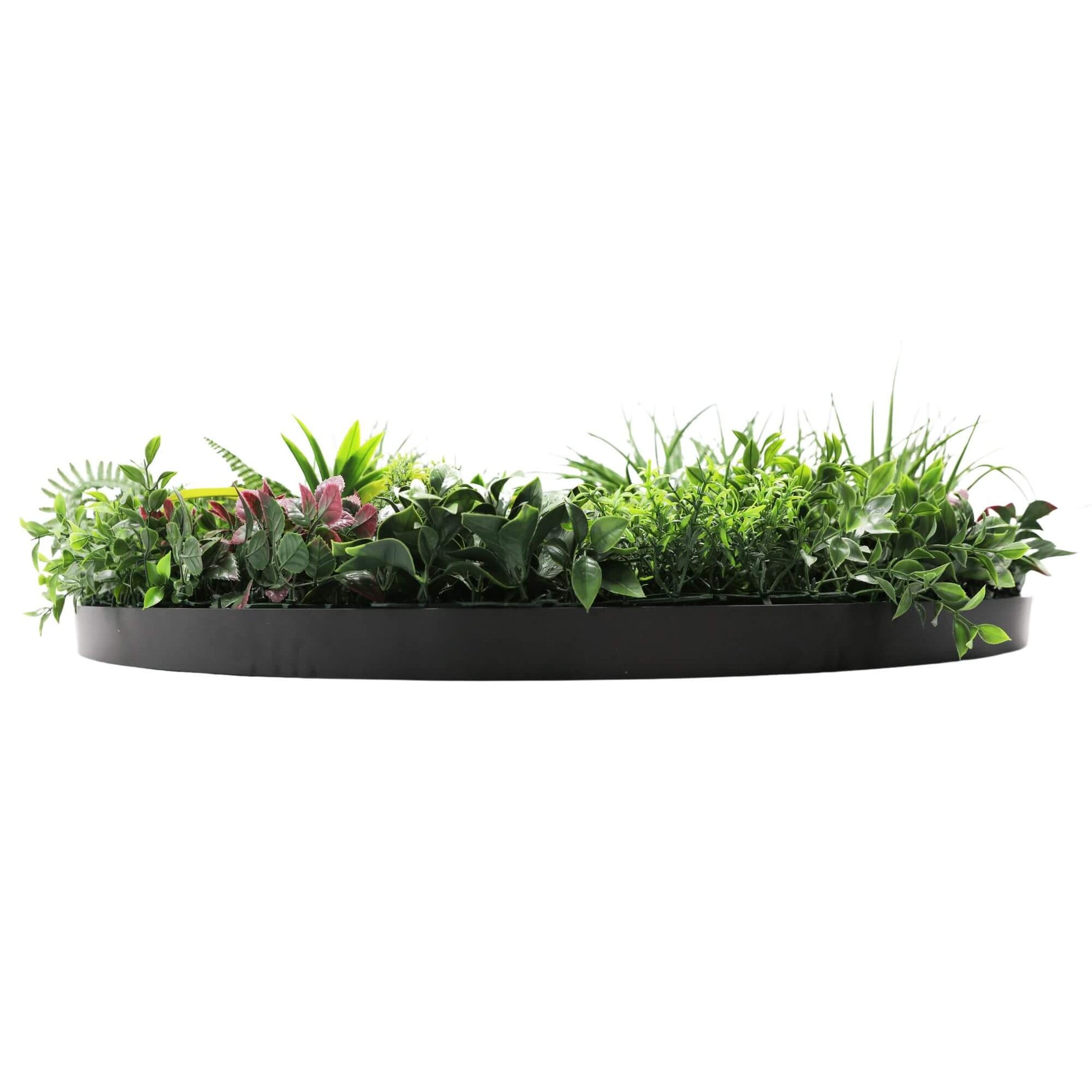 Artificial greenery in a black planter on a white background