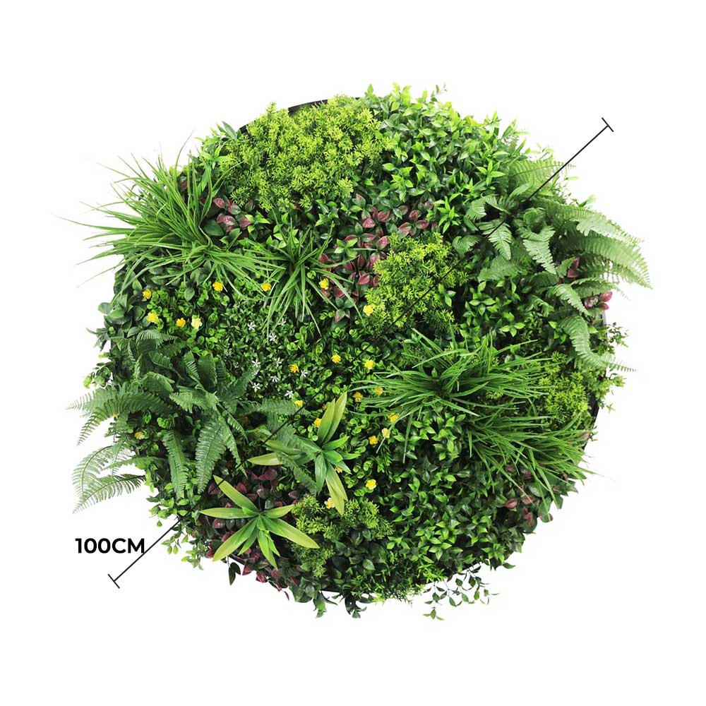 Round artificial green wall with various plants on a white background
