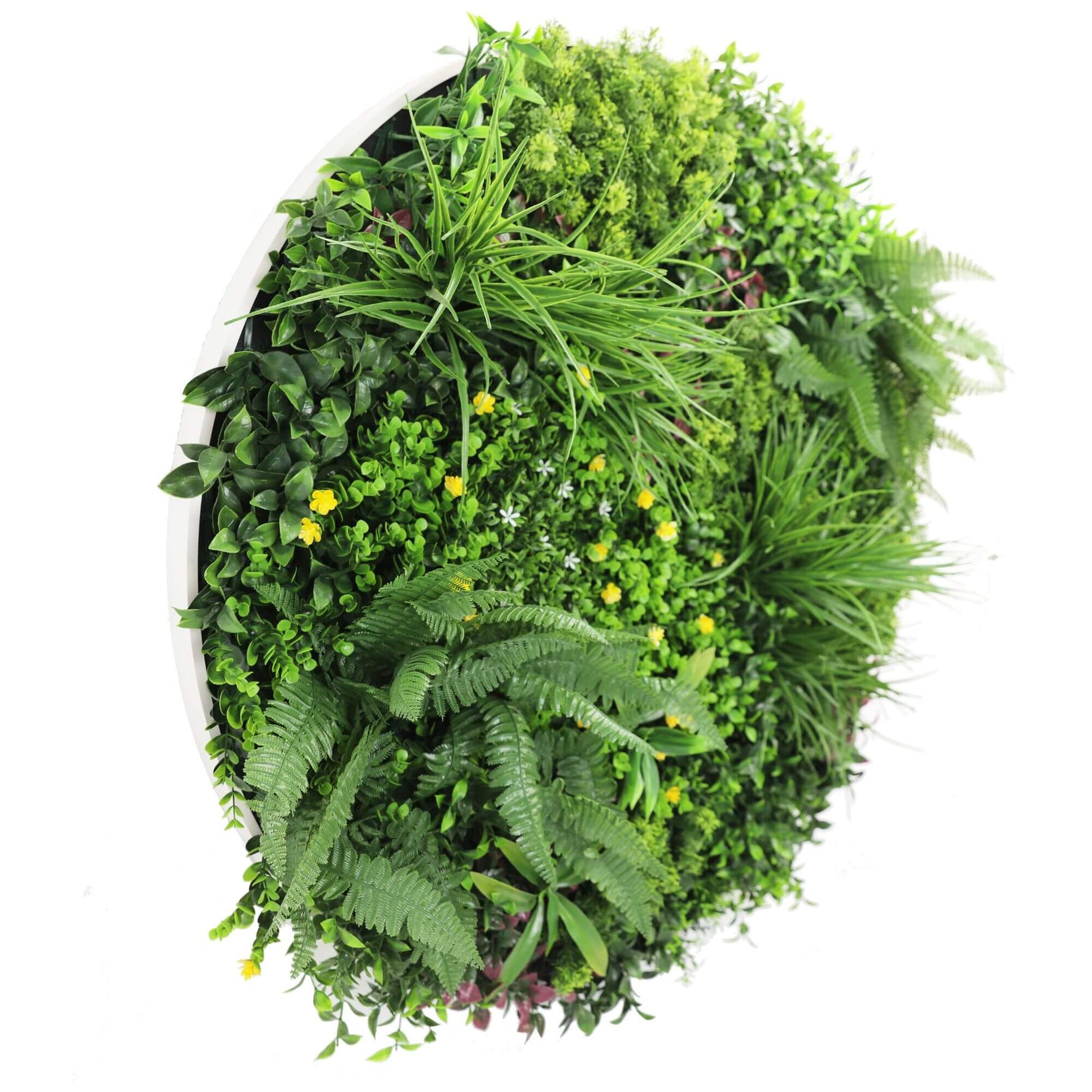 Artificial green wall with various plants on a white background