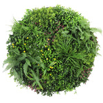 Round arrangement of green plants on a white background