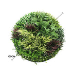 Round arrangement of various green plants with a 100cm measurement label on a white background