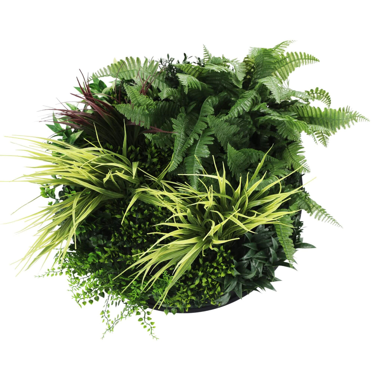 Slimline Artificial Green Wall Disc Art 50cm Grassy Fern Fields UV Resistant (Black) — gallery image