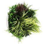 Round arrangement of various green plants on a white background