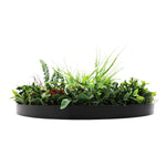 Round black planter with green plants on a white background