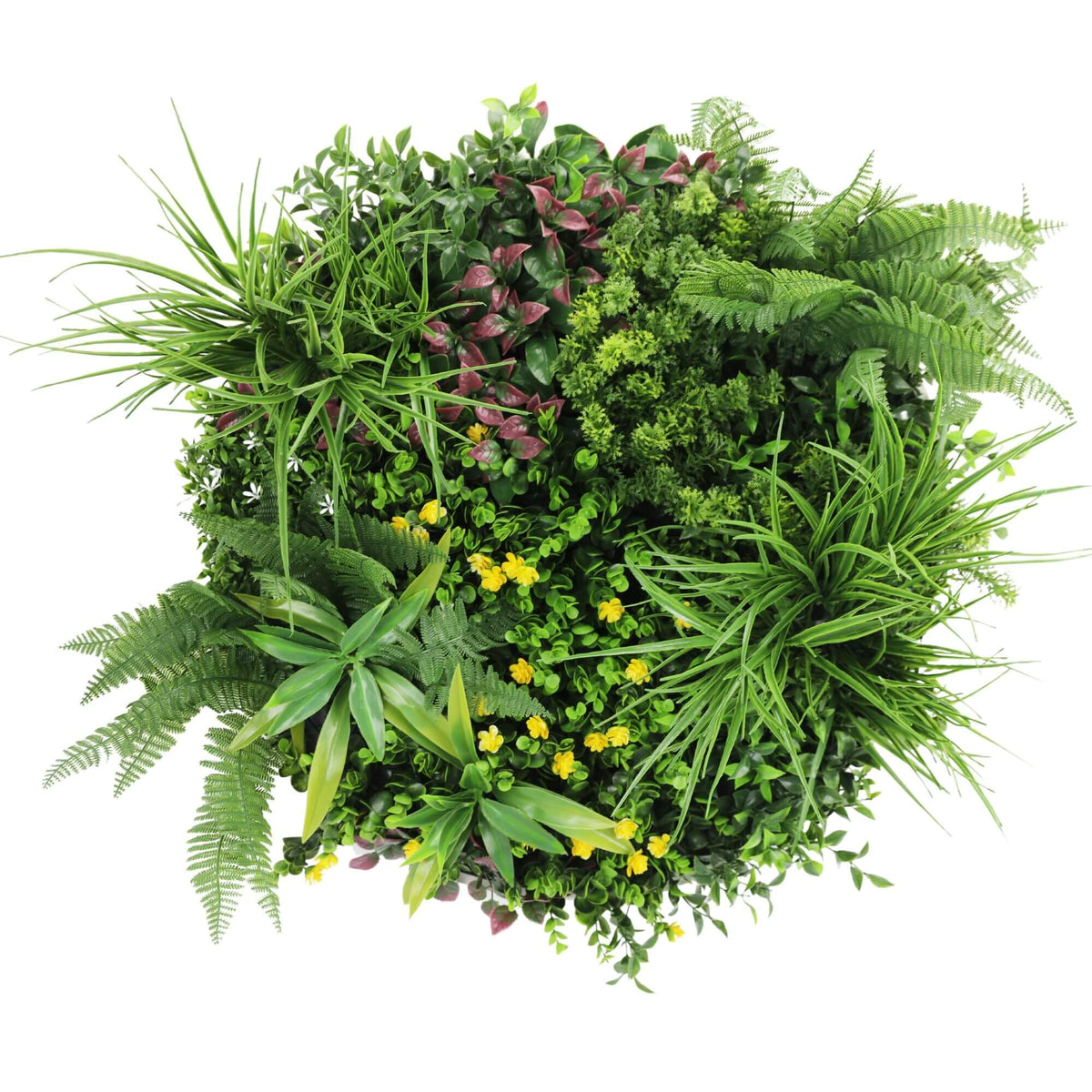Slimline Artificial Green Wall Disc Art 60cm Country Fern UV Resistant (Black) — gallery image