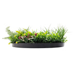 Round black planter with green plants on a white background