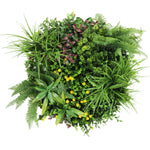 Mixture of green plants and ferns on a white background
