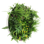 Assorted green plants in a white bowl on a white background