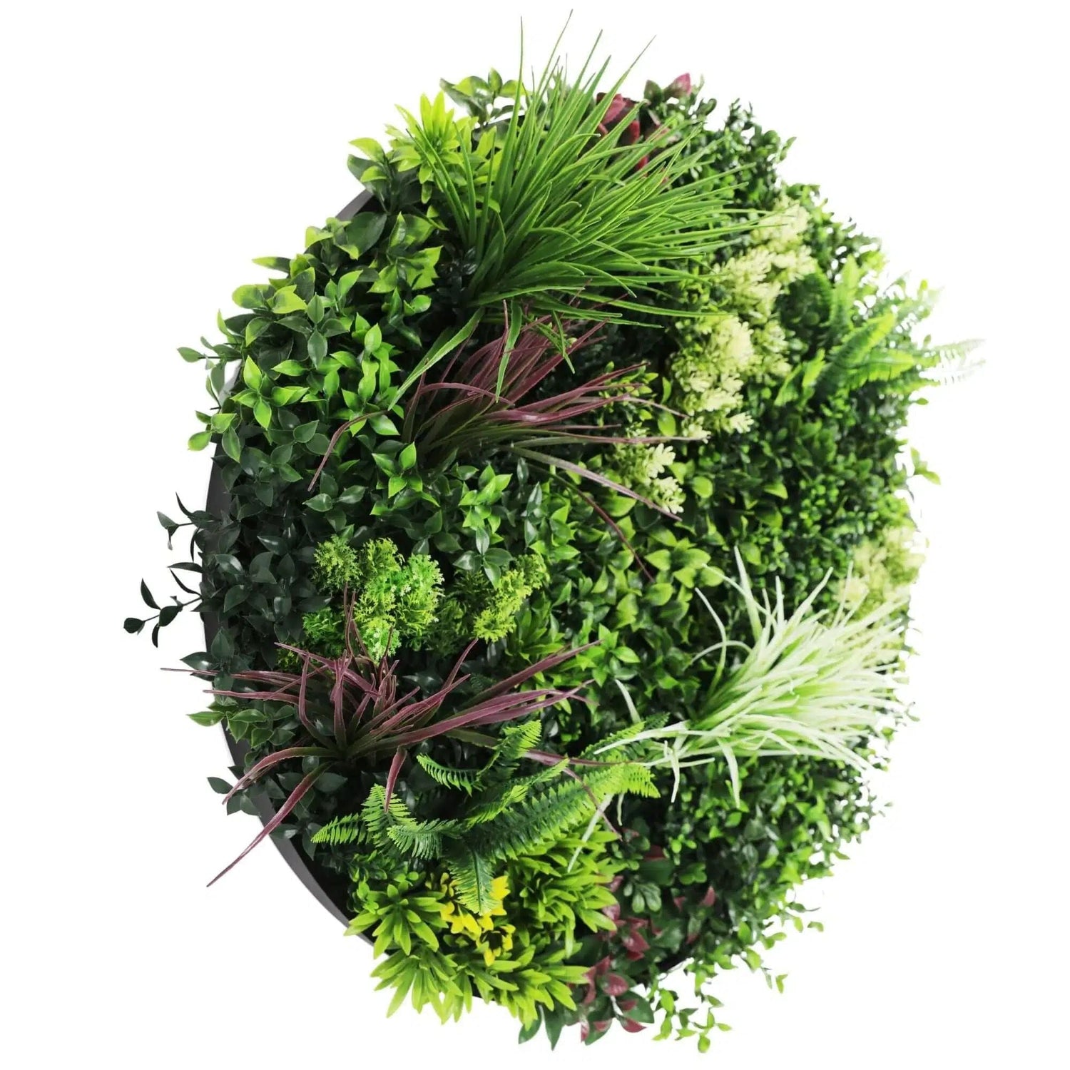 Slimline Artificial Green Wall Disc Art 80cm Colour Fresh UV Resistant (Black) - Designer Vertical Gardens Artificial vertical garden wall disc