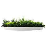 Round white planter with green plants on a white background
